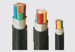 交联聚乙烯绝缘聚氯乙烯护套电力电缆